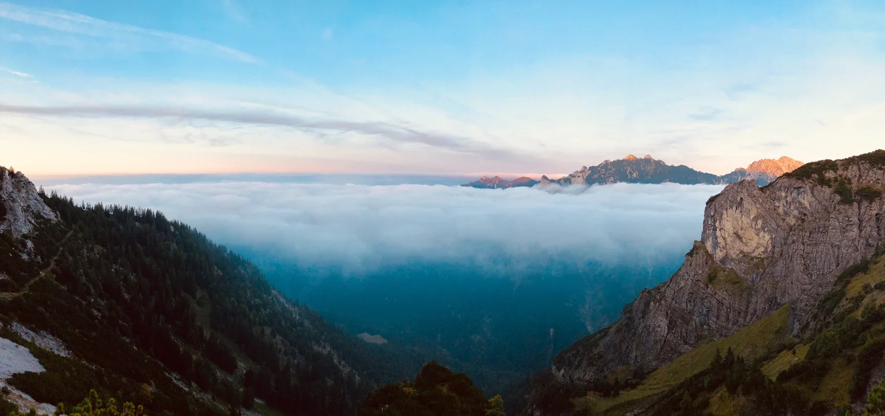 Foto von Julia Muhr